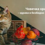 Човечка храна - здрава и безбедна за мачки