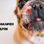 брахицефаличен синдром