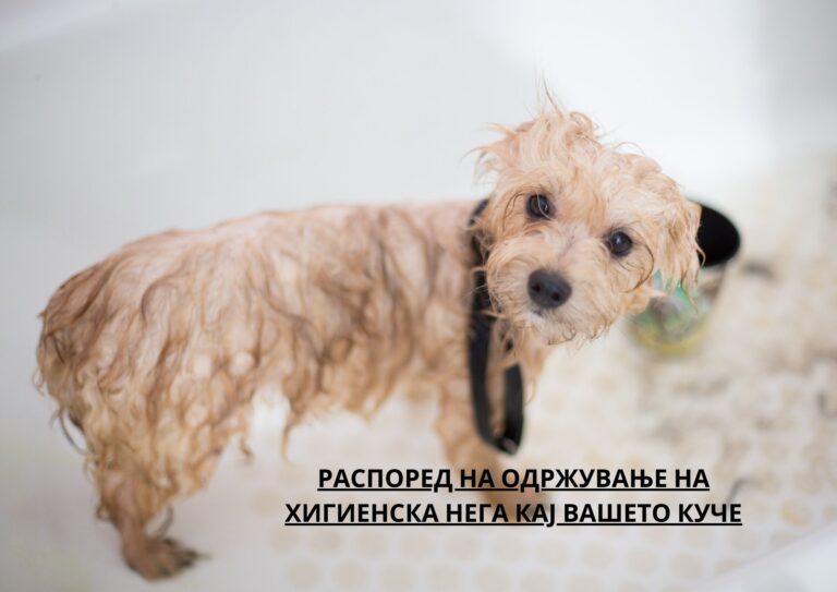 Распоред на одржување на хигиенска нега кај вашето куче