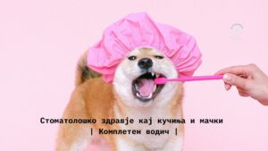 дентално здравје кај кучиња и мачки